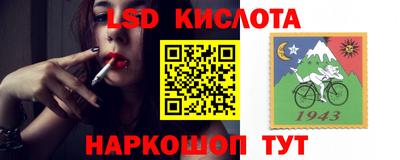 spice Будённовск